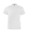SOLS Mens Victory V Neck Short Sleeve T-Shirt (White) - UTPC388