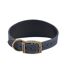 Timberwolf hound leather dog collar 30cm 34cm blue Ancol-1