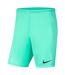 Short Dry Park Homme Bleu Ciel Nike-1