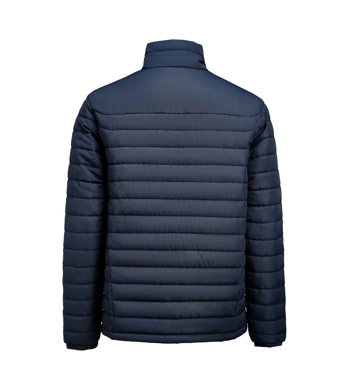 Veste Arches Homme Bleu Marine James Harvest-2