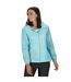 Regatta Womens/Ladies Corinne IV Waterproof Jacket (Seal Grey) - UTRG3378