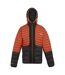 Doudoune Matelassée Leedre Homme Ocre Rouge Noir Regatta-2