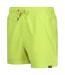 Mens mawson ii swim shorts citron lime Regatta