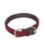 Collier pour chiens s marron / pourpre Weatherbeeta