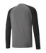 Mens Teampacer Goalkeeper Jersey Pearl Black White Puma-2
