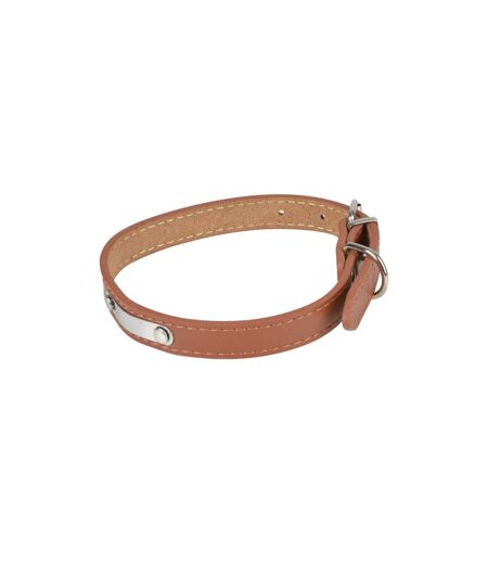 Collier Pour Chien en Cuir Plaque 50cm Cognac