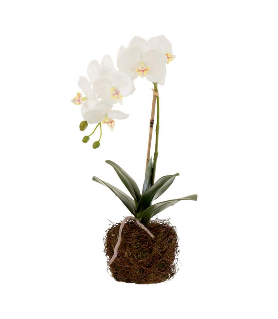 Fleur Artificielle Déco Orchidée en Terre 40cm Blanc-1