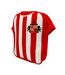 Sunderland AFC Home Kit Lunch Bag (Red/White) (One Size) - UTTA11673