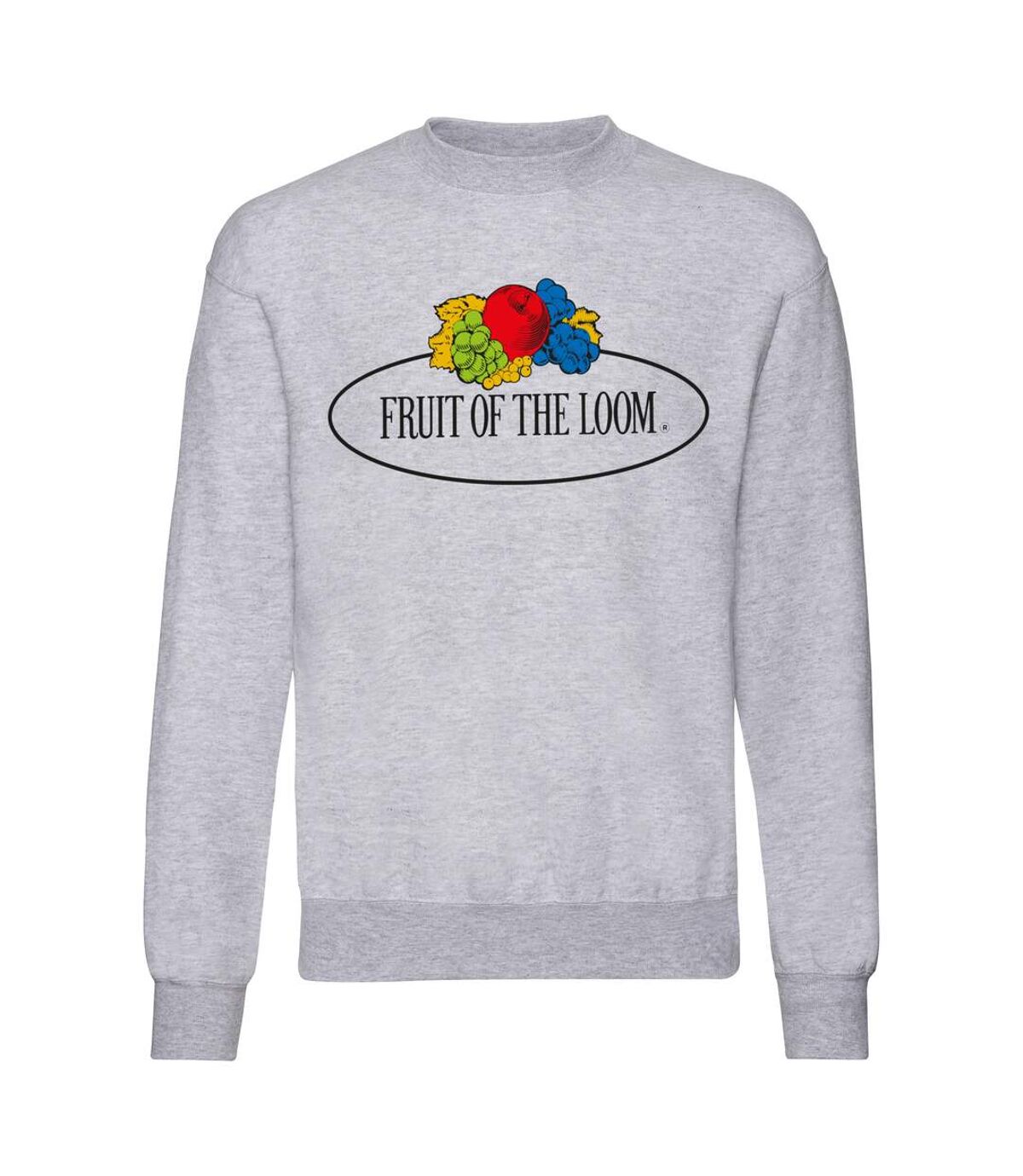 Fruit of the Loom Mens Vintage Big Logo Set-in Sweatshirt (Gray Heather) - UTBC4821