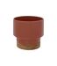 Cache-Pot Design Le Collectionneur 16cm Pêche-1