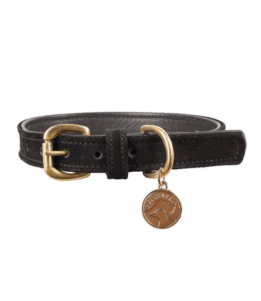 Noble suede dog collar xl black/gold Benji & Flo-1