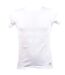 T shirt homme NEW MAN en Coton Confort et Qualité T Shirt Col Rond NEW MAN 3002 Blanc