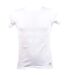 T shirt homme NEW MAN en Coton Confort et Qualité T Shirt Col Rond NEW MAN 3002 Blanc-1