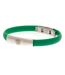 Celtic FC - Bracelet (Vert) (Taille unique) - UTBS4291