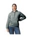 Sweat À Capuche Softstyle Adulte Gris Foncé Chiné Gildan-2