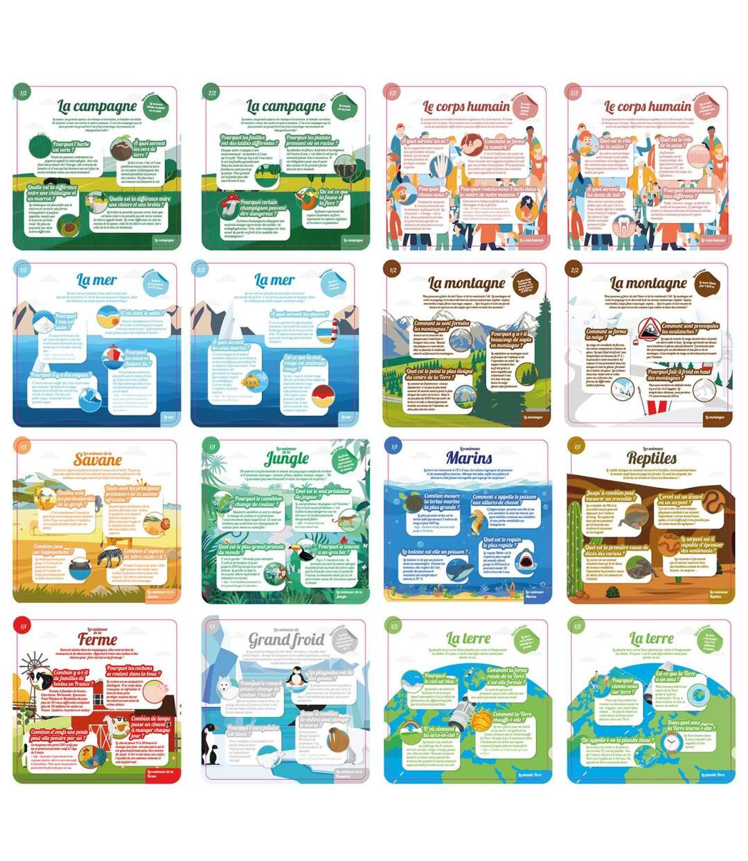 Jeu des Pourquoi 16 Cartes 16cm Multicolore-2