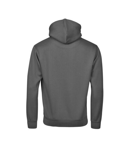 Sweat À Capuche Urban Adulte Gris Pâle Tee Jays