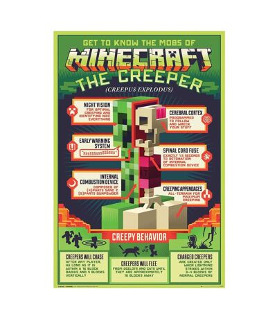 Minecraft Creeper Poster (Green) (One Size) - UTTA4673