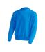 Sweat Adulte Turquoise Pâle JHK-1