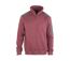 Sweat-shirt Col Montant Zippé Prodige2 Confort Sportswear-5