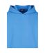 Sweat À Capuche Homme Bleu Ciel Urban Classics-4