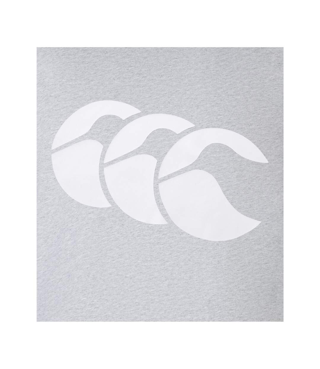 Mens Logo T-shirt Grey White Canterbury-3