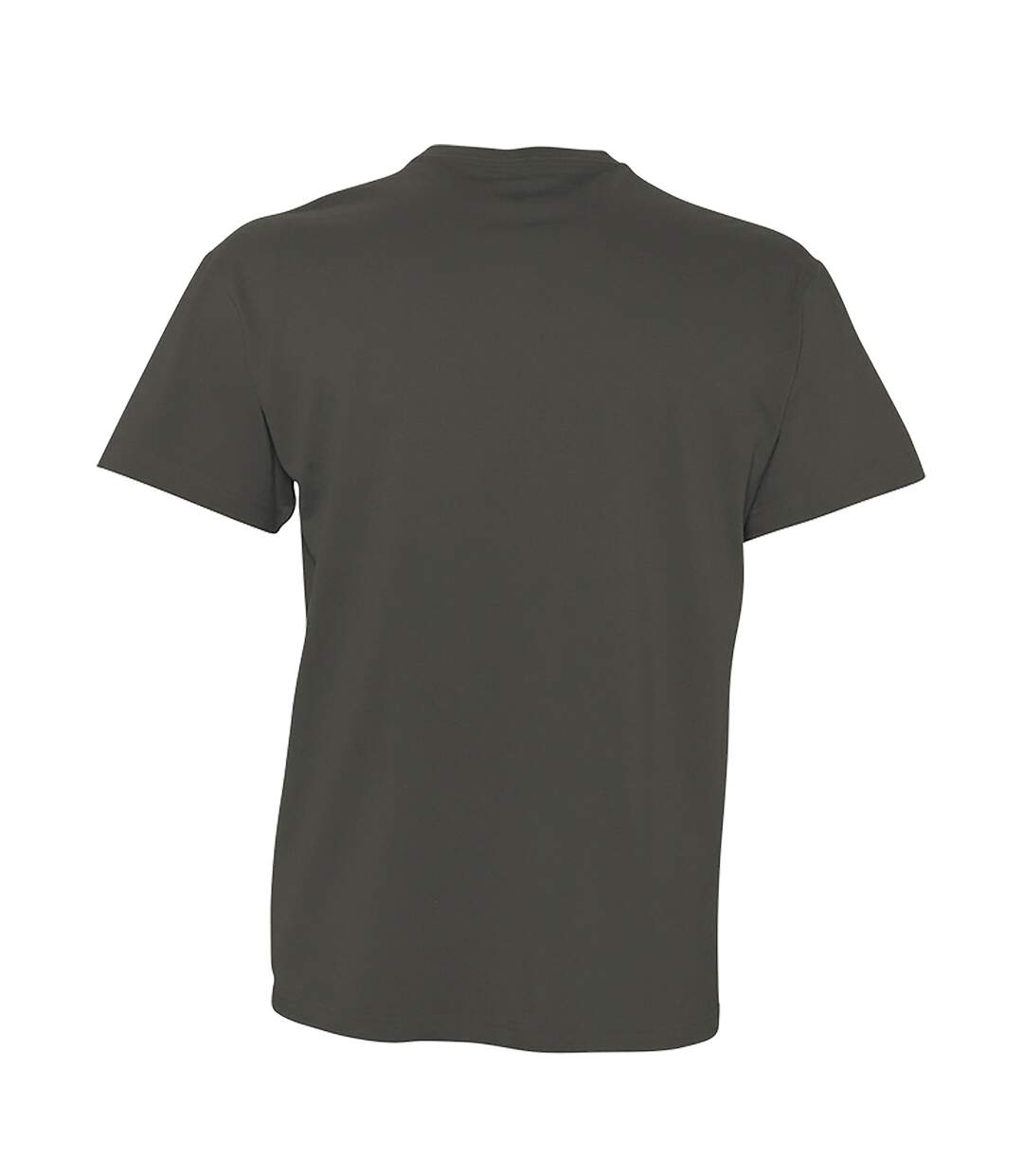 SOLS Mens Victory V Neck Short Sleeve T-Shirt (Dark Grey) - UTPC388