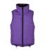 Doudoune Sans Manches Femme Noir Violet Urban Classics-3