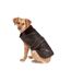 Fatface dog jacket 45cm chocolate brown Danish Design