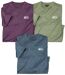Lot de 3 Tee-Shirts Sport Flammé-1