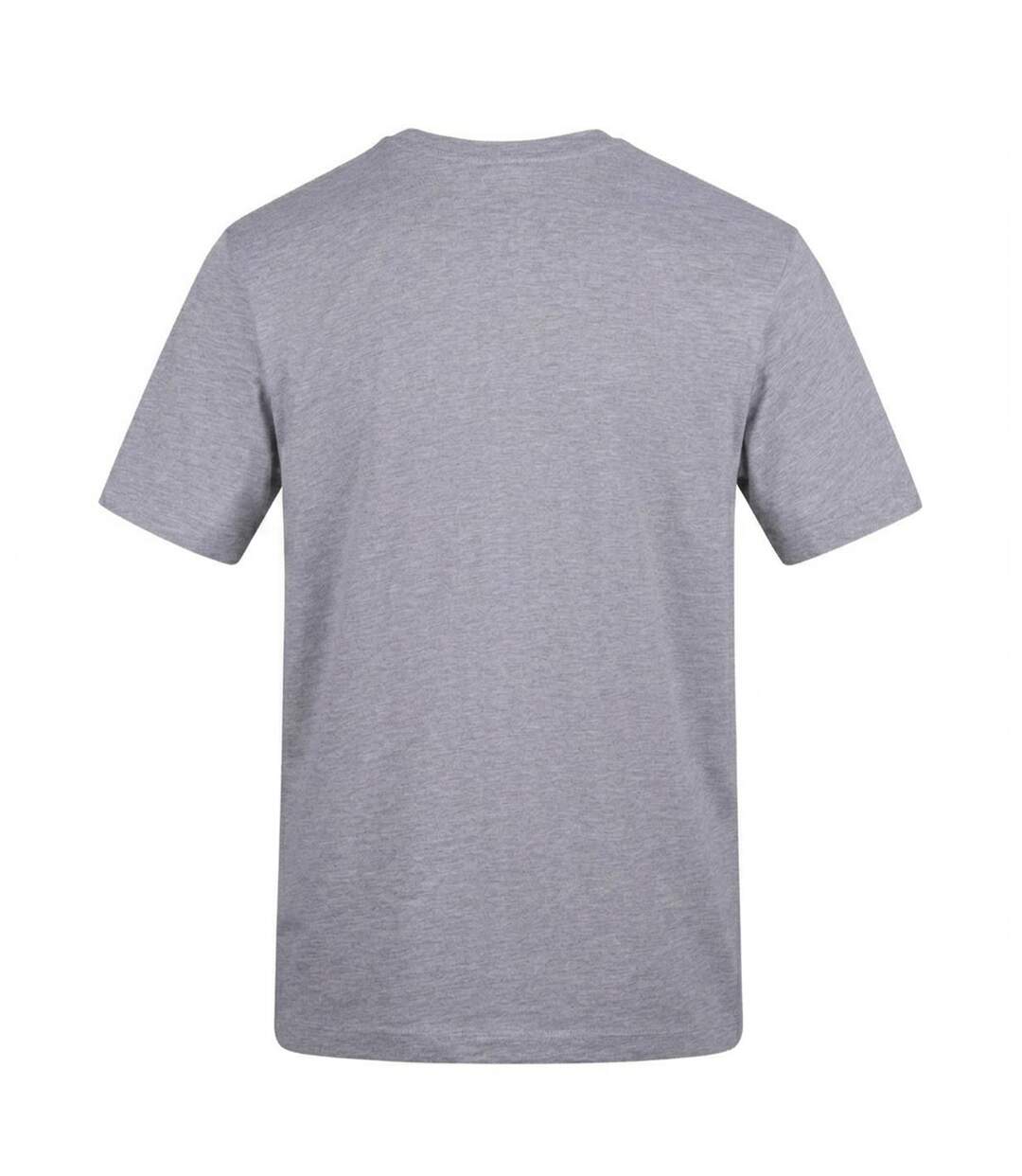 Unisex Adult Stay Fresh T-shirt Grey AWD-2