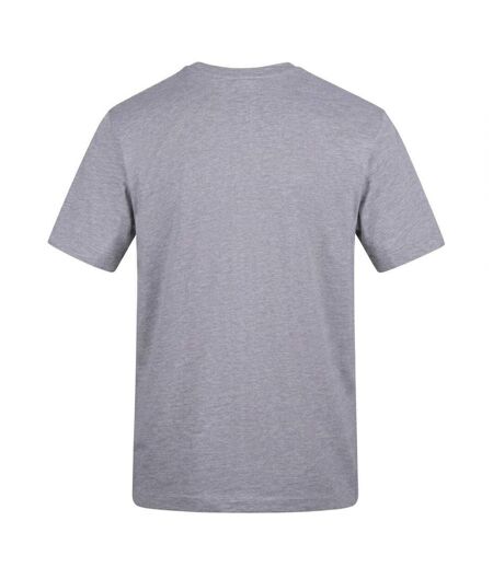 Unisex Adult Stay Fresh T-shirt Grey AWD