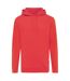 Sweat À Capuche Jasper Adulte Grenadine Iqoniq-1