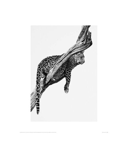 Mario Moreno Okavango Art Poster (Black/White) (60cm x 80cm) - UTPM3899