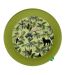Lot de 10 Assiettes en Carton Palmeraie 23cm Vert-1