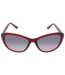 Womens/ladies Gradient Sunglasses One Size Burgundy Grey Calvin Klein-1