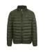 Doudoune Matelassée Motif/style Logo Adulte Vert Plein Sport-1