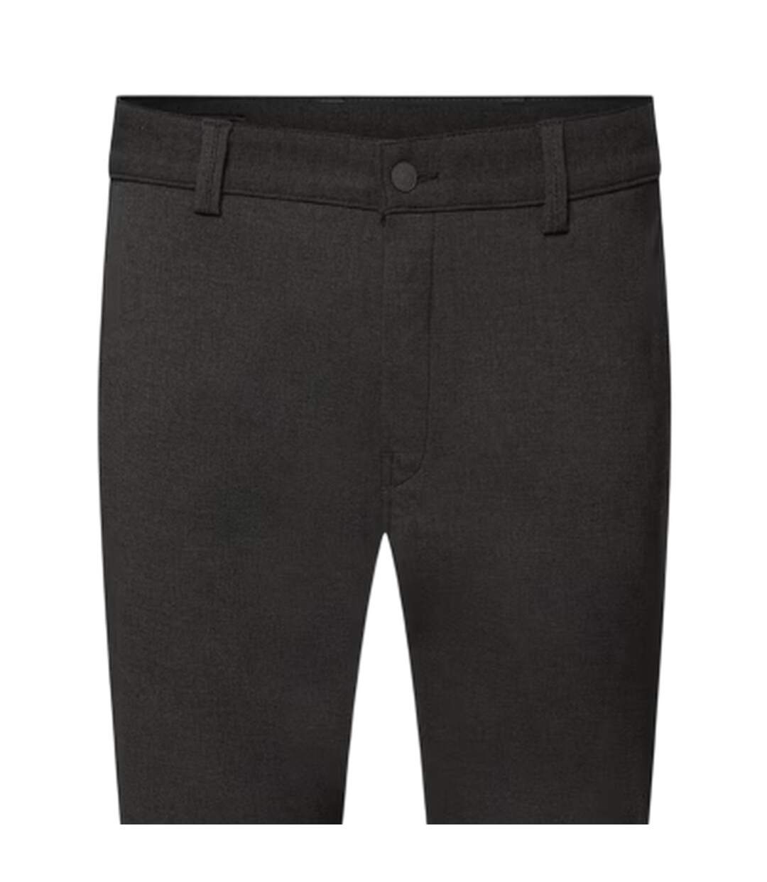 Pantalon Homme Gris Replay-4