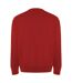 Roly Unisex Adult Batian Crew Neck Sweatshirt (Red)
