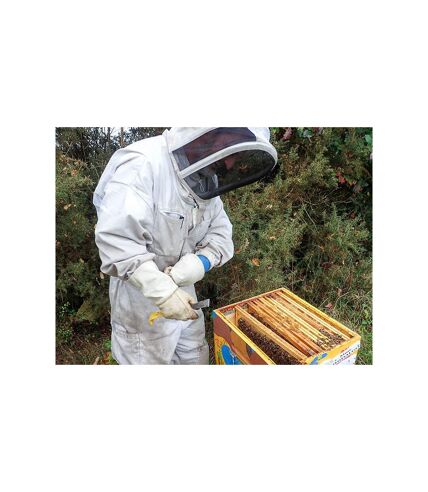 Parrainage d'une ruche pour préserver la biodiversité et réaliser un acte citoyen et écologique - SMARTBOX - Coffret Cadeau Gastronomie