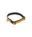 Collier pour Chien Cosy Golden 55cm Jaune