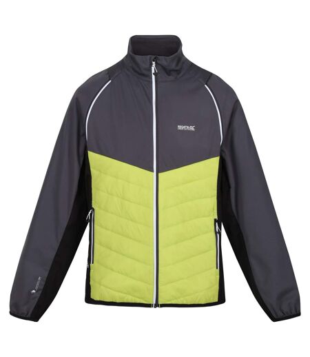 Regatta Mens Steren Hybrid Soft Shell Jacket (Seal Grey/Green Algae) - UTRG9163