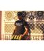 T-shirt Slim Fit Col rond homme Life Vondutch-5