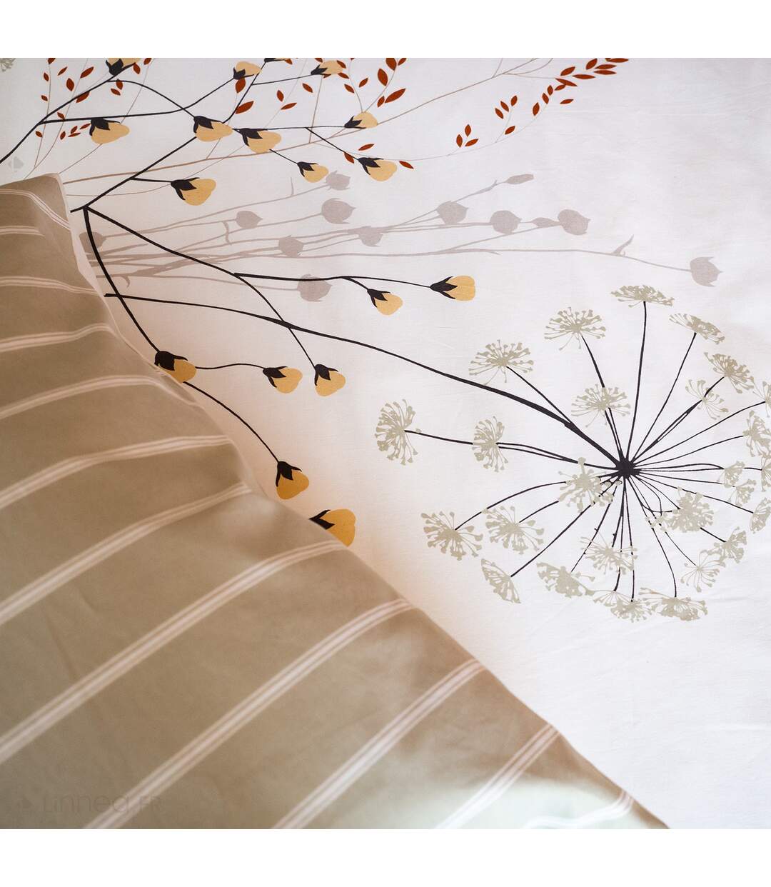 Parure de lit SOLIFLORE coton  Taie 63x63 cm-5