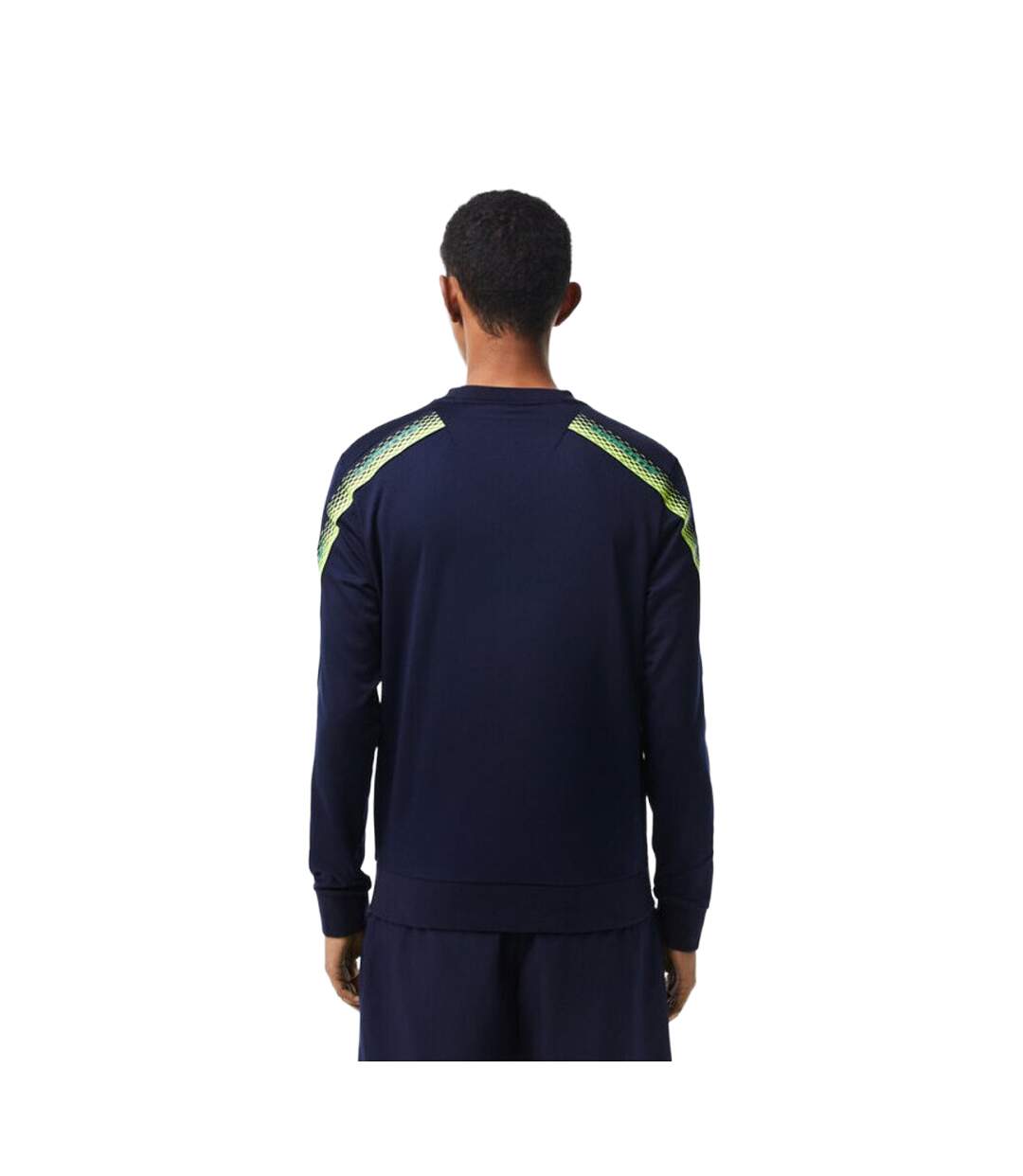 Sweat Adulte Bleu Lacoste-3