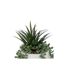 Plante Artificielle en Pot Visage 25cm Blanc-2