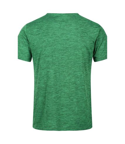 T-shirt fingal edition homme champ vert Regatta