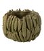 Vase Déco en Argile Petit Pois 34cm Vert-1