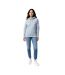 Unisex adult rila recycled cotton lightweight hoodie sky blue Iqoniq-3