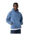 Mens Hooded Long-sleeved Sweatshirt Blue Levis-1